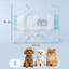 Dog Diaper