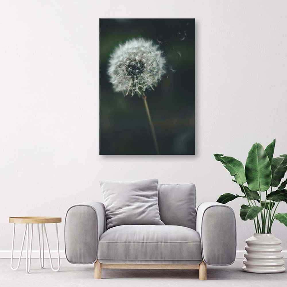 Leinwandbild Dandelion Plant Green