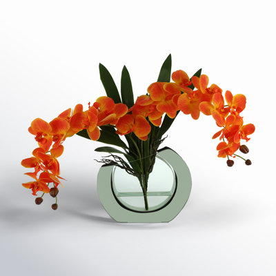 Transitional Isle Orchid Floral Arrangement