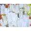 Spring 1601 Print by Mary Sullivan-864244949