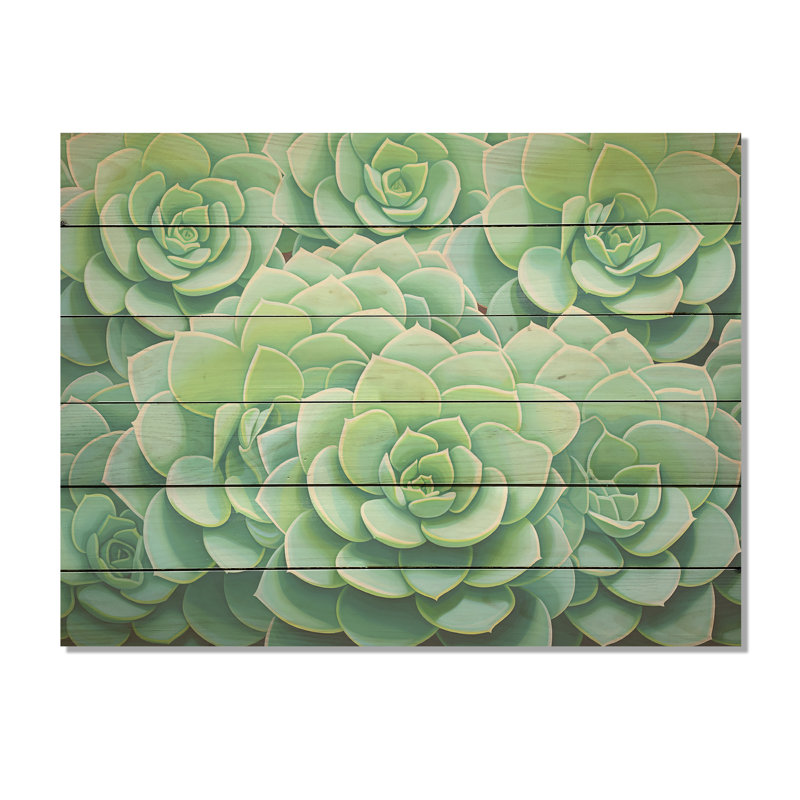 Vert plantes grasses - Art sur bois de pin naturel, H 30 po x l 40 po
