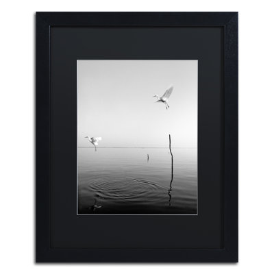 « flying », reproduction de photo sur toile encadrée