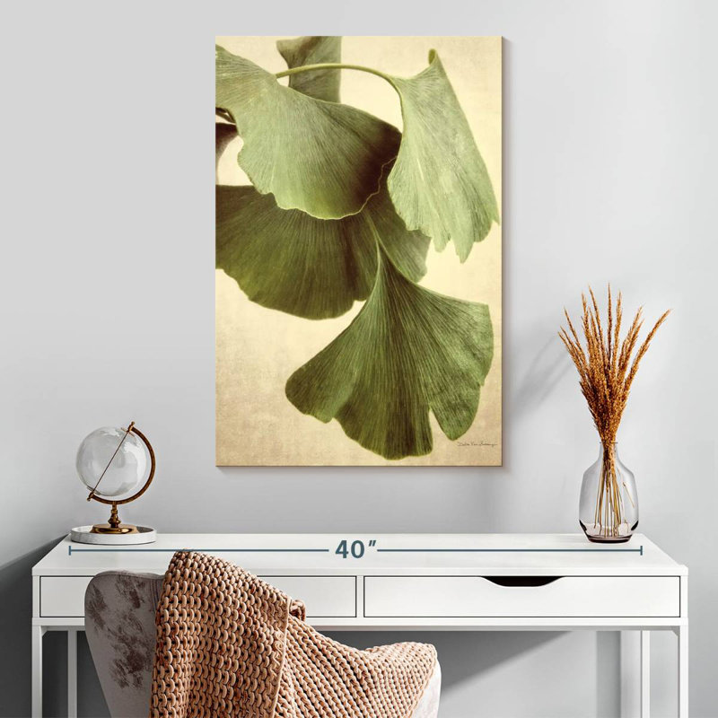 Couleur Harnek Ginkgo, H 30 po x l 20 po