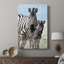 Famille de la Namibie - galerie Cavas sur mesure-707061914