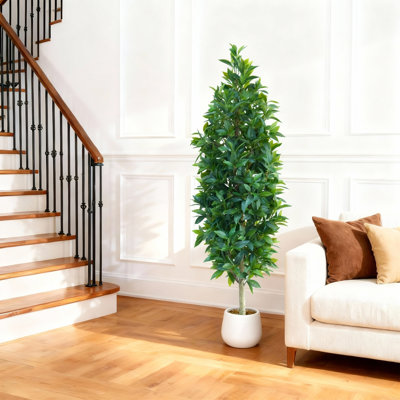 150cm Plant