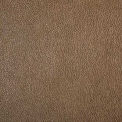 York Butternut Sample