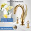 Widespread Faucet 2-handle Bathroom Faucet
