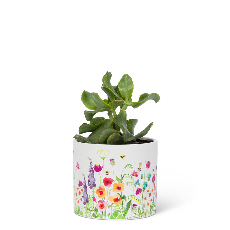 Moriarty Cachepot, Large