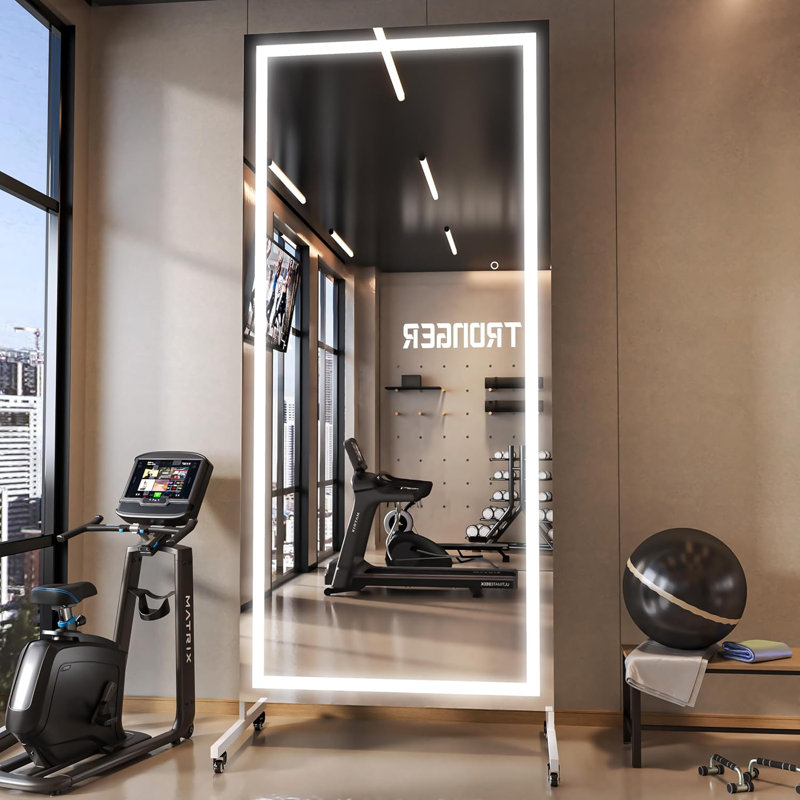 Miroir Home Gym, 75 po x 31 po 