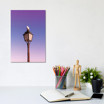 Seagull by Beli - Wrapped Canvas Print