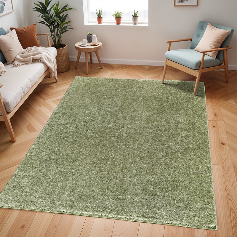 Amneris Modern Boho Soft Fluffy Thick Plush Pile Moss Green Area Rug, Rectangle 120 x 170 cm, Sage, Polyester