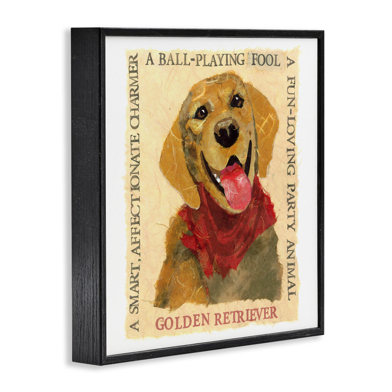 «Golden Retriever» amusant, estampe numérique encadrée par Nancy Overton, H 24 po x l 24 po, Giclée encadrée noir minuit