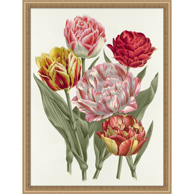 Colorful Traditional Blooms 3 - Picture Frame Graphic Art on Paper