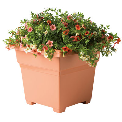 Jardinières en pot