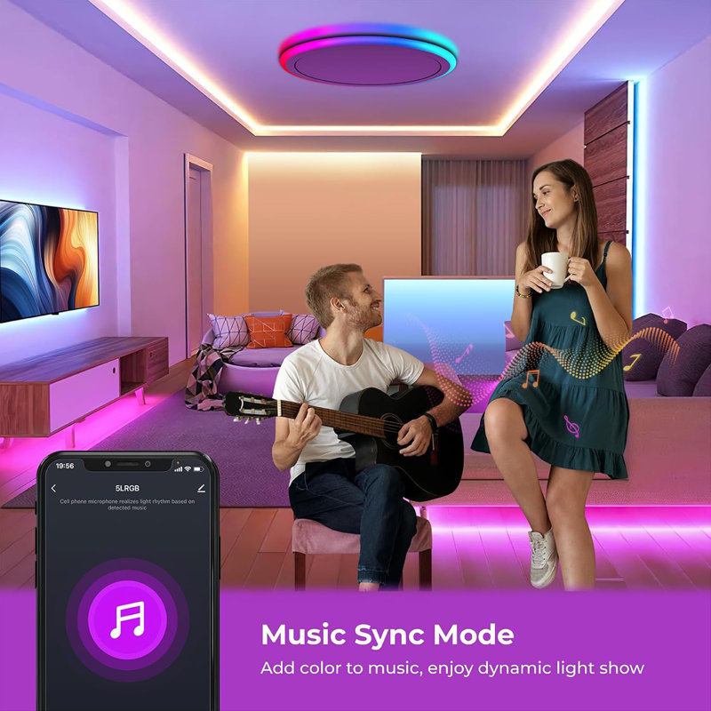 Dimmable LED Smart RGB Flush Mount Ceiling Light
