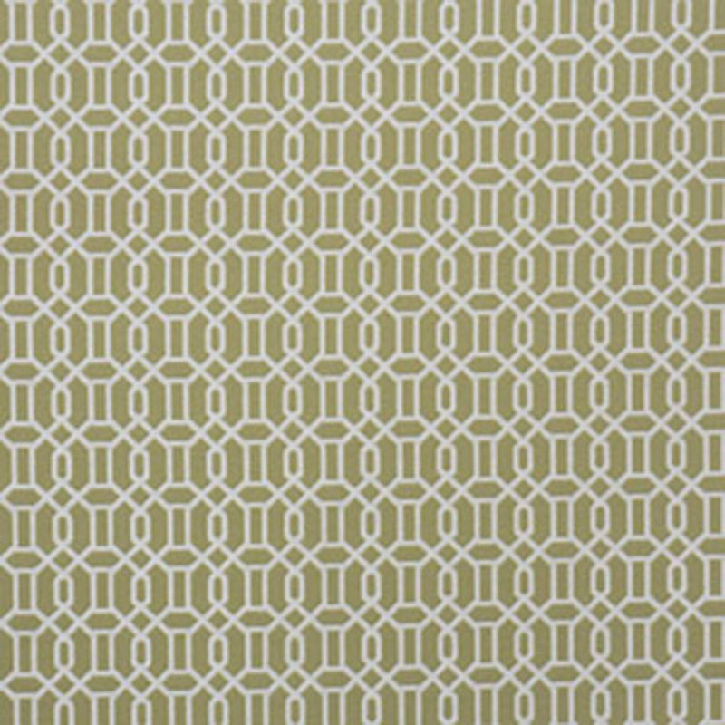 Geometric Fabric, Kiwi