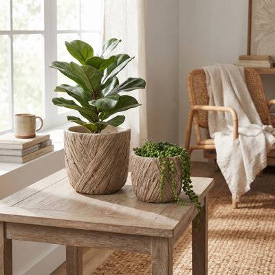 Ensemble de 2 pots à fleurs en ciment texturé pour l'intérieur et l'extérieur