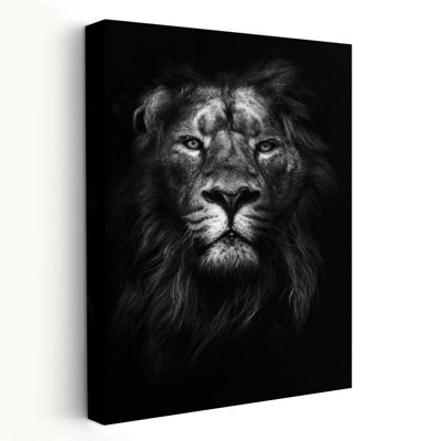King Of Kings - Photography Animals Lions Art