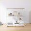 2-Layer Glass Display Cabinet With 2 Doors-501973921