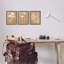 «Nature Botanical Silhouettes Single Photo Frame» par Graffitee Studios, 3 pièces sur toile-179571583-179893385