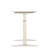 47" Tech Desk Standing and Adjustable Desk