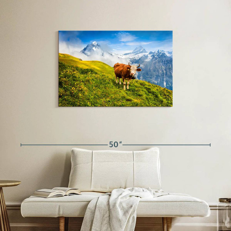 Brampt Bernese Alps Cow