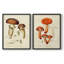 Champignon Variétés III - reproduction encadrée de qualité supérieure - prête à être accrochée - aucun clou requis - aucun clou requis-607282533-607282538