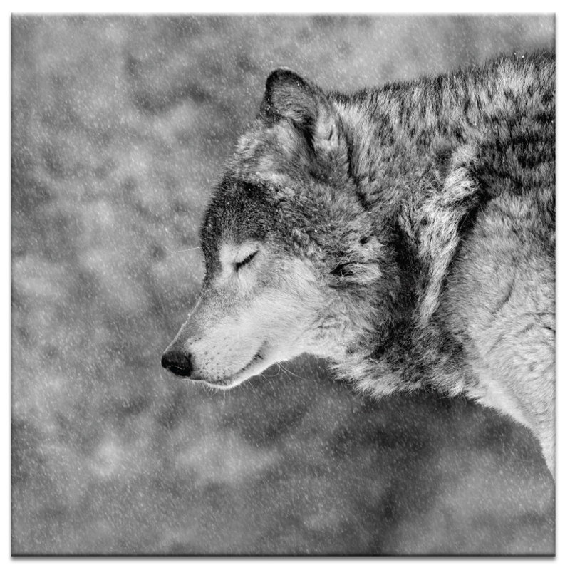 Wrapped Canvas Print, 61cm H x 61cm W