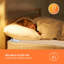 Premium Comfort Electric Blanket Throw-383555227