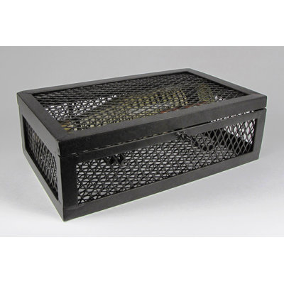 Morven 2 Bottle Tabletop Wine Bottle Rack