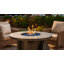 Dobbs 48" Round Fire Pit Table 40,000 BTU Carbon Steel Construction Adjustable Feet Magnetic Gas Door