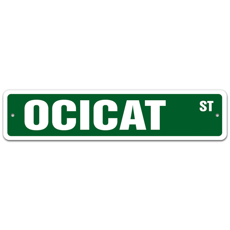 Plaque de rue Halya, H 7 po x l 30 po x P 0,1 po