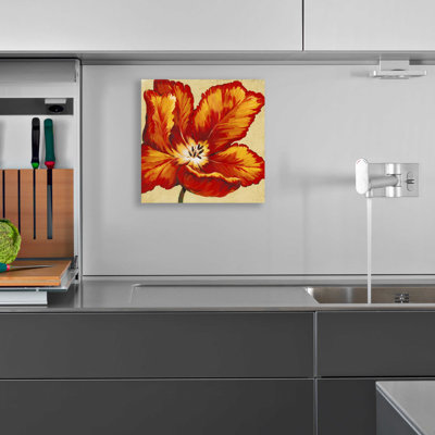 " Parrot Tulip I " by Tim O'Toole