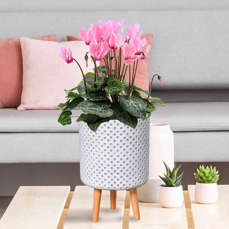 Dotted Style Cylinder Planter with Feet Concrete Effect Cylinder Round Planter on Hardwood Legs, Round Indoor Plant Pot Stand for Indoor Plants, Indoor Flower Pot with Dotted Pattern