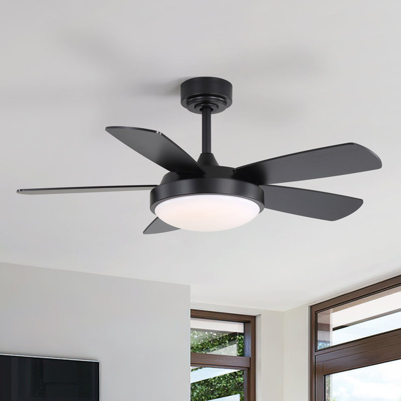 Damecia 42'' 5 Blade Modern Ceiling Fan With Light and Remote Control, Black