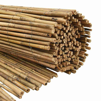 Bamboo Fence
