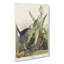 Green Heron by John Audubon - Wrapped Canvas Painting-55359954