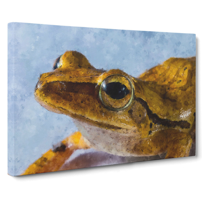 Frog Vol.3 - Wrapped Canvas, 35cm H x 50cm W x 3cm D