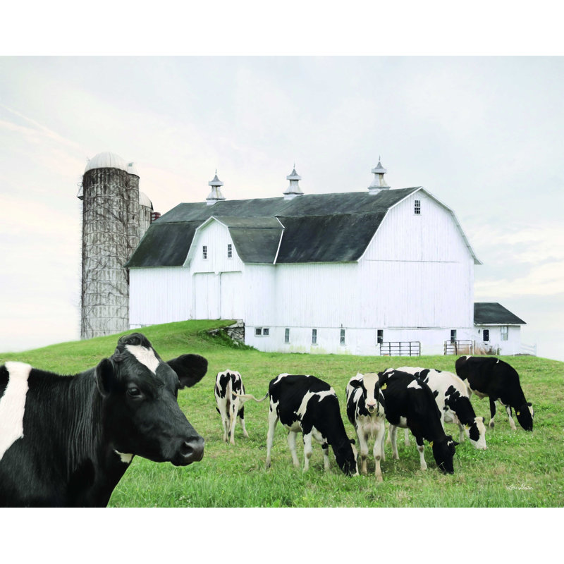 «Cow Gathering» - Impression sur toile tendue, H 36 po x l 48 po