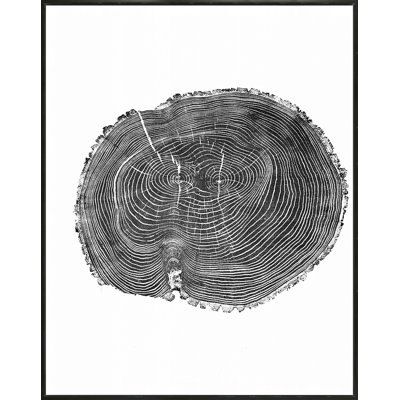 Ash Print