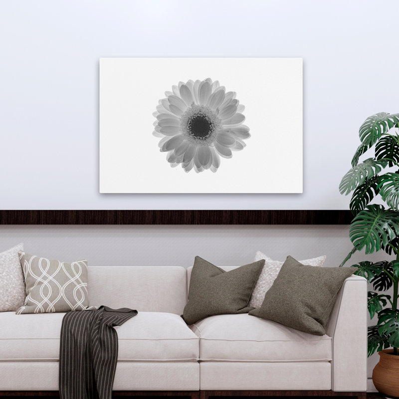 Plantes, fleurs, marguerite, art mural, H 32 po x l 48 po