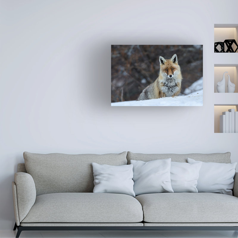 Art sur toile renard bolich, Jure Jauregui, H 12 po x l 19 po