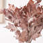 Dried Flower Bunch-119034006-119034007