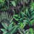 Jungle Cheetah is out of stock