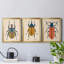 «Beetle Bug I», ensemble de 3 impressions sur toile encadrées-967737311-967737309
