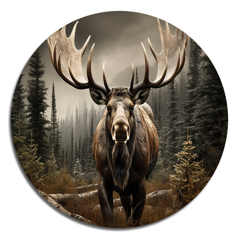Orignal brun majestueux - Animaux en métal, H 16 po x l 16 po