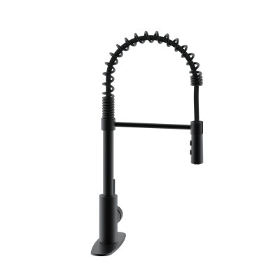 Westbrass Pull Down Spray Kitchen Faucet