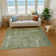 Premium Machine Washable Honig AMF1656 Global Rug