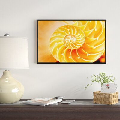 Abstract 'Yellow Nautilus Shell' Framed Graphic Art Print on Wrapped Canvas -  East Urban Home, ERNH5665 46705444
