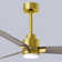 Alessandra - Three Blade Transitional Ceiling Fan -LED